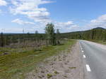 Wälder entlang der E45 bei Sorsele, Västerbottens län (01.06.2018)