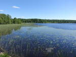 Regnaren See bei Regna, Östergötland (05.06.2018)