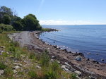 Ostseeküste bei Ystad (11.06.2016)