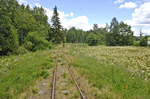 Am Länsmansgårdsängen an der Schmalspurbahn Åseda-Virserum in Småland / Schweden. Aufnahme: 18. Juli 2017.