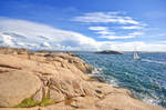 Naturschutzgebiet Stångehuvud an der Bohusläner Scherenküste westlich von der Stadt Lysekil (Schweden). Aufnahme: 4. August 2017.