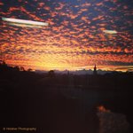 Sonnenaufgang auf der Lorrainebrücke am 10.12.2014.