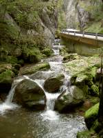 Sarnetan, Schlucht Gorges des Pichoux des Sorne Bach im Jura (08.10.2012)