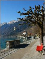 Am Uferweg des Brienzersee.