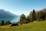 01.10.2011 auf der Fahrt zum Brienzer Rothorn, mit der BRB, hinauf: Blick auf den Brienzersee Richtung Interlaken.