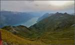 Blick aus der Rothornbahn auf das Mhlebachtal und den Brienzer See.