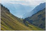 . Blick aus der Brienz-Rothorn-Bahn auf den Brienzer See in Richtung Interlaken. 27.09.2013 (Hans)