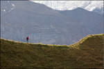 Der Wanderer auf dem grünen Grat -    Berner Oberland, Brienzer Rothorn, Twärenegg.