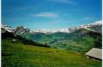 Auf der Metschalp bei Frutigen; mit Sicht auf Adelboden