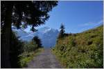 Wanderweg von Gütschalp nach Mürren.
(28.08.2014)