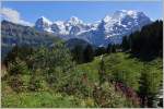 Bergpanorama: Eiger, Mönch und Jungfrau
(28.08.2014)