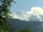 Die Jungfrau (4.158 m) mit den Silberhrnern aus der Nhe von Wengen aus fotografiert am 06.08.07.