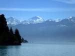 Teleblick vom Nordufer ber den Thunersee auf die schneebedeckten Gipfel des Berner Oberlandes, Mai 2015