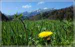 Frhlingsberglandschaft bei Montbovon am 16.04.2011