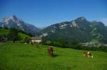 Nfels, links Wiggis 2282 M., rechts Rauti Spitze 2283 M., Kanton   Glarus (03.07.2011)