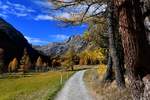 Das Val Bever im Engadin zeigte sich am 21. Oktober 2018 besonders schön aufgrund der herbstlichen Verfärbung. 