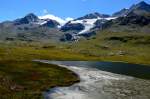 Sommer am Berninapass, kurz vor der Passhhe. (Aufnahme 11.08.2012)