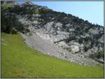 Wiesen und Felsen: Impressionen von der Fahrt zum Pilatus Kulm mit der Zahnradbahn aus Alpnachstad. (19.07.2007)