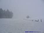 Der Wanderweg vom Obergtsch in richtung Sonnenberg am Nachmittag des 24. Januar 2007 im Schneegestber.