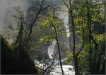 Am Rheinfall bei Neuhausen, 20.10.2006 (Matthias)