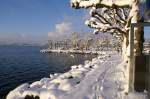 Winter 2007/2008. Seepromenade Lachen Schwyz.