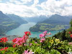 Aussicht vom Urmiberg auf Brunnen (links) und den Urnersee (Teil vom Vierwaldstättersee).