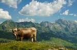 Impression in Blickrichtung Säntis, von Alp Selun nach Alp Sellamatt (17.07.2014)