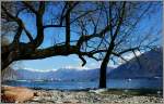 Am Ufer des Lago Maggiore bei Locarno.