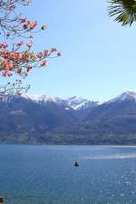 Minusio - Blick ber den Lago Maggiore Richtung Sden am 07.04.2008