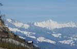 Tief verschneite Waadtlnder Alpen im Hintergrund, Winterruhe im Rebberg im Vordergrund.