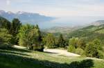 Wenn der Schnee geschmolzen ist und bevor der Sommer kommt, werden die Wiesen oberhalb von Montreux-Vevey noch einmal weiss:  Narzissenfelder locken Jahr fr Jahr viele Besucher an.