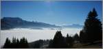 Dichter Nebel im Tal, strahlender Sonnenschein in der Hhe. 
(31.01.2011)