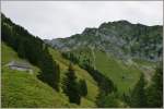 Vorderansicht des Rochers-de-Naye vom Wanderweg aus.