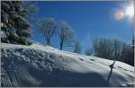 Der frischgefallene Schnee verzaubert die Natur.