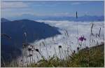 Nebel über dem Genfersee und Chablais.
(04.09.2014)