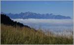 Blick über's Nebelmeer zum Grammont  (04.09.2014)