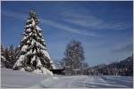 Schneeschuhwanderweg und Langlaufloipe führen an tiefverschneiten Bäumen vorbei.
(03.02.2015)