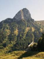 Der Dent de Jaman (1875 M..M.)  (Oktober 2008)