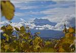 Blick aus den Weinbergen bei Aigle auf den Dents-de-Midi.