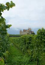 Blick ber die Weinreben auf das Chteau d'Aigle  (September 2008)