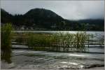 Am Lac de Joux, in Le Pont.