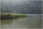 Nur zögerlich weicht der Nebel über dem Lac de Joux den wärmenden Sonnenstrahlen
(05.09.2014)