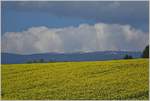 Im Jura zeigen die Schneereste das der Winter noch nicht ganz vorüber ist, 
aber im Tal blüht bereits der Raps.
(20.04.2021)