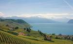 Weitsicht ber die Weinberge des Lavaux, den Genfersee sowie die Waadtlnder und Walliser Berge.