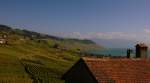 Blick von Grandvaux ber das Lavaux.
(Oktober 2009)