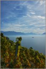 Herbst im Lavaux am Genfersee.