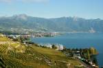 Weinberge im Lavaux; 13.10.2012