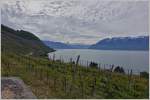 Aussicht vom Wanderweg Cully nach Vevey über den Genfersee,die Waadtländer- und Walliser Berge.