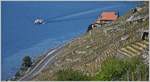 Während vermutlich die Passagiere des Dampschiffes die Aussicht auf die Weinterrassen geniessen, gefällt mir der Ausblick von einem Wanderweg in den Weinbergen auf den See und das Schiff.