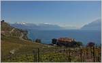 Ausblick oberhalb von einem Wanderweg bei Rivaz auf den Genfersee und die Waadtländer Alpen.